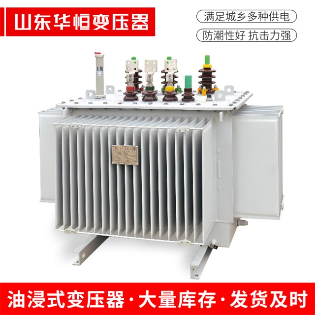 S13-10000/35聂拉木聂拉木聂拉木电力变压器